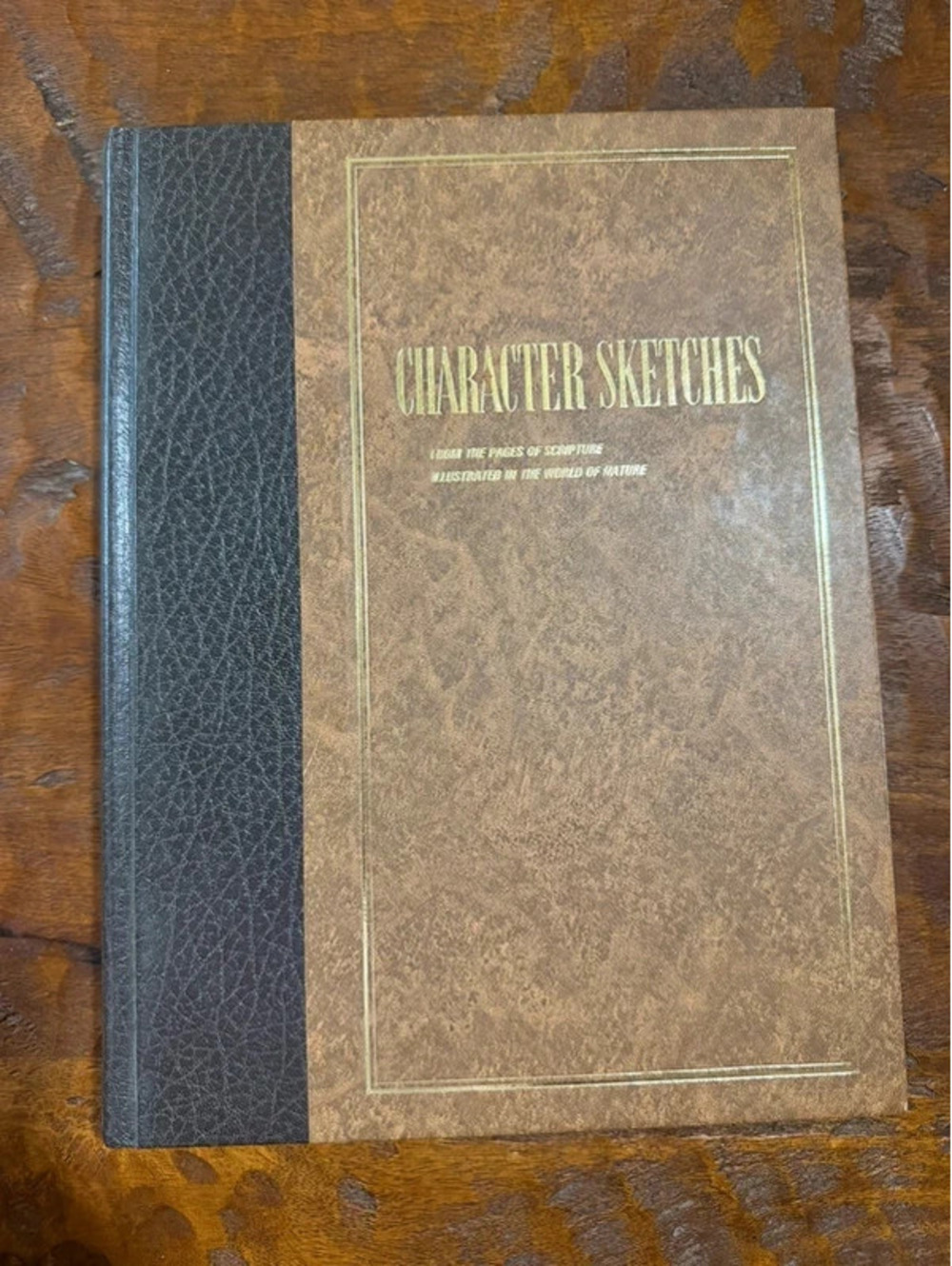 Vintage Hardcover copy of Character Sketches -a devotional book